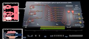 All-optical signal processor
