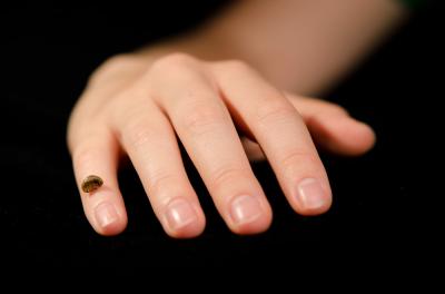 Finger Bone Replica