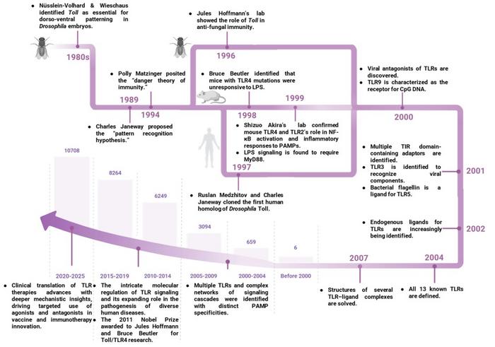 Milestones in TLR research and trends in inflammation-related publications