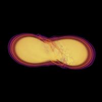When Neutron Stars Collide