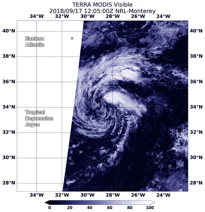 Aqua Image of Joyce