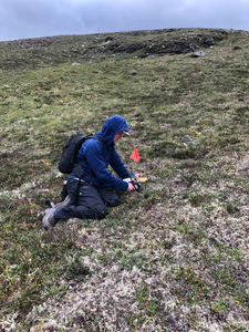 Dawson in the field