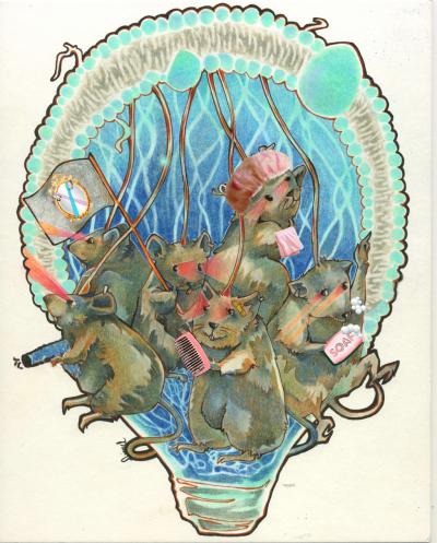 Neural Circuitry Linked to OCD in Mice (2 of 5)