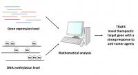 Fig.1 Mathematical Analysis