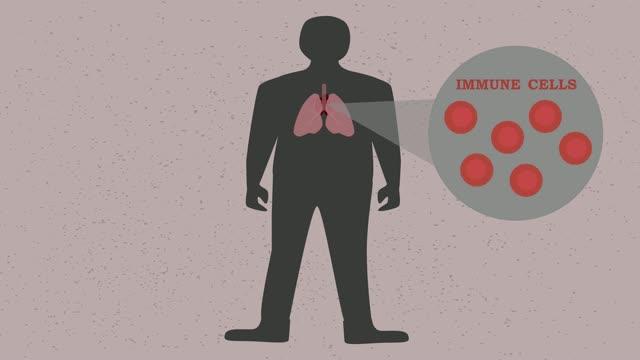 Antibacterial Combination Could Fight Drug-Resistant Tuberculosis