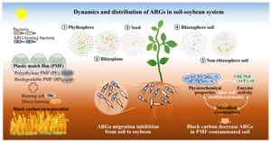 Black carbon derived from wheat straw burning mitigates antibiotic resistance gene dissemination in soil-crop systems under polyethylene and biodegradable plastic mulch film residues
