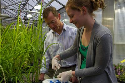 Learning How a Crop Becomes a Weed
