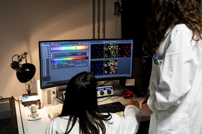 Researchers at UniTrento