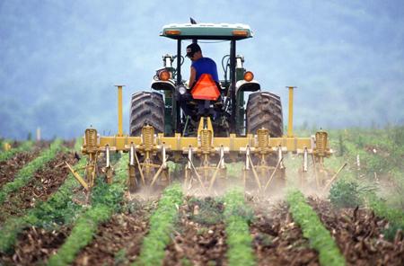 Climate and Food Security