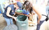 Mosquito Breeding Areas