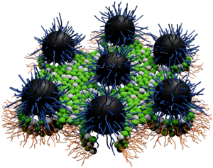 Hairy spheres nanoantibiotics.png
