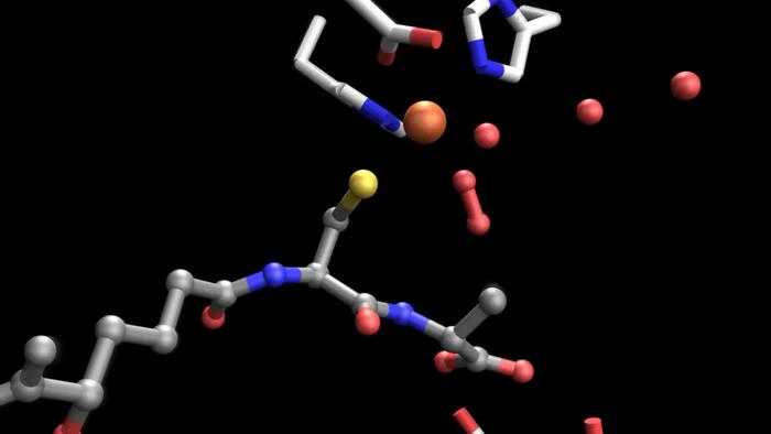 Animated molecular movie of penicillin biosynthesis