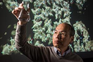 Professor Seok‑Yong Lee