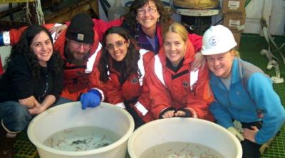 Krill Crew