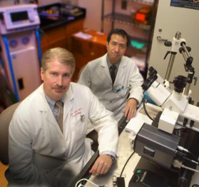 Drs. C. Alvin Head and Tohru Ikuta,   	 Georgia Health Sciences University