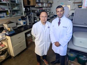 Study authors Drs. Akhil Chawla (right) and Qiang Zhang in their lab at Northwestern University Feinberg School of Medicine in Chicago