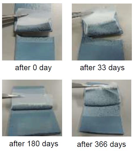 Surprisingly Long Lifetime of High Adhesion Property of Plasma-Treated PTFE