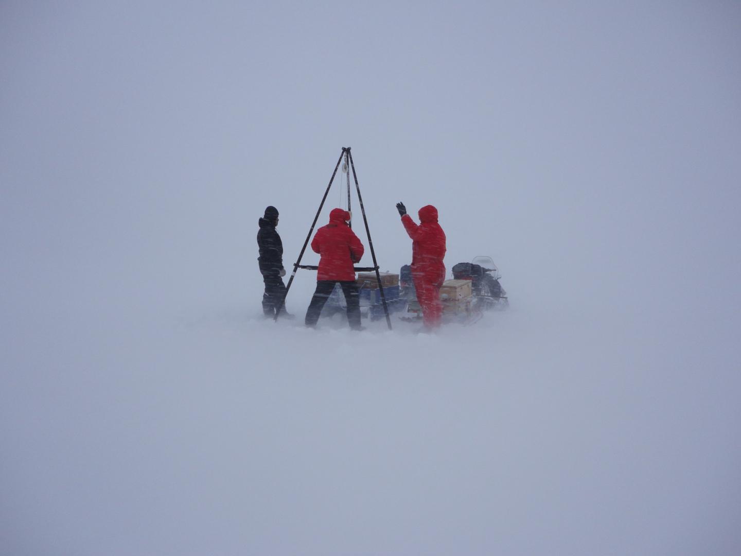 Spring Sampling
