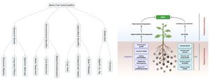 Sustainable resource management with bone char—challenges and opportunities for enhancing soil health and phosphorus stocks