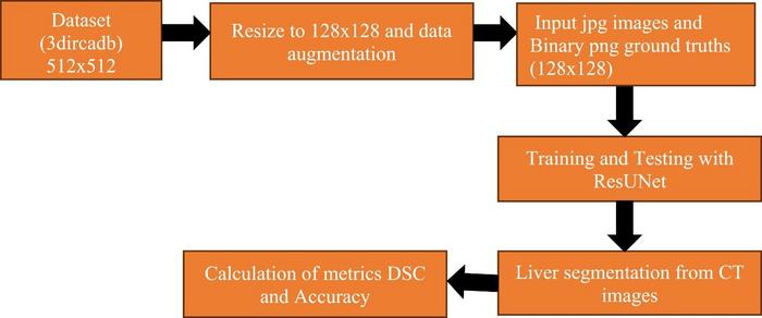 The schematic overview of the proposed workflow.