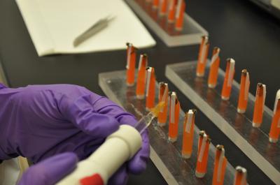 Experimental Set-Up