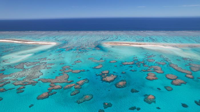 Chesterfield Bellona Plateau reef in Coral Sea_VC04_23DJI_0681_©MBoussion