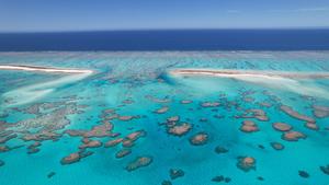 Chesterfield Bellona Plateau reef in Coral Sea_VC04_23DJI_0681_©MBoussion