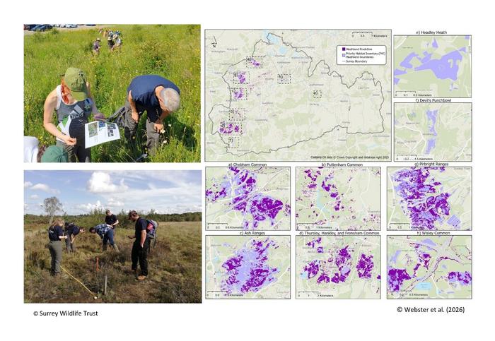 SWT Remote sensing