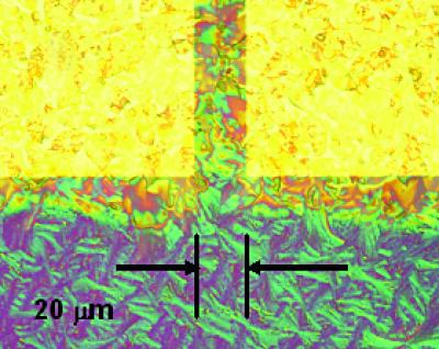 Directed Self-Ordering of Organic Molecules for Electronic Devices (2 of 2)
