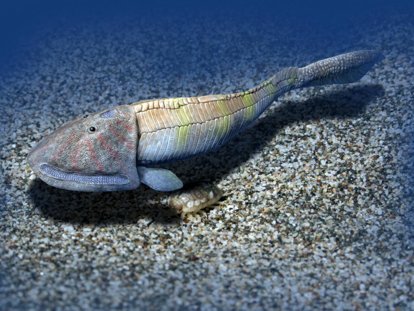 The Shallow-Water Cradle of Vertebrate Evolution (12 of 17)