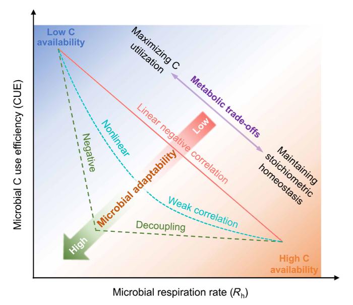 Conceptual framework illustrating the possible relationships between microbial CUE and Rh on the basis of stoichiometric theory and microbial community theory