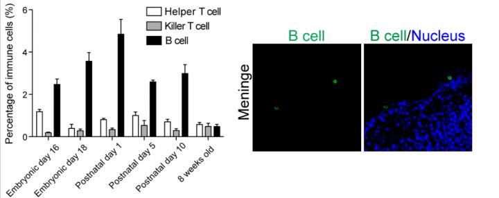 Fig.2