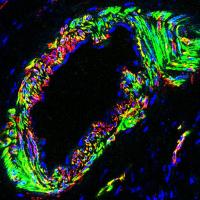 Science Image