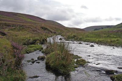 Habitat