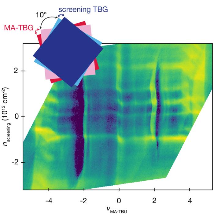 Screening of magic-angle superconductivity