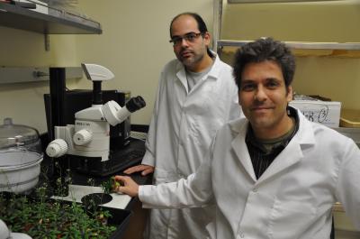 Assaf Mosquna and Sean Cutler, 	University of California - Riverside 