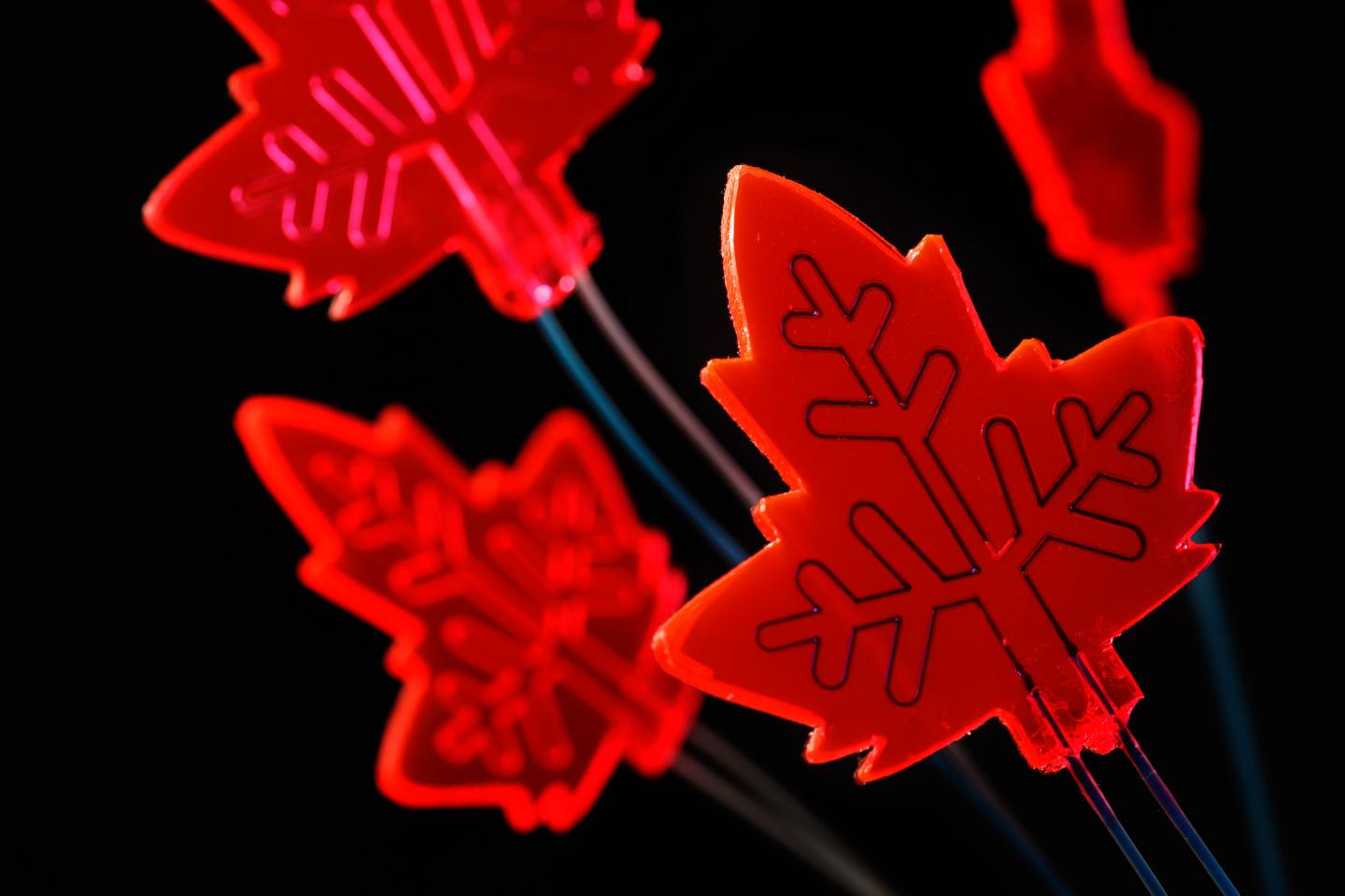 Artificial Leaf 1