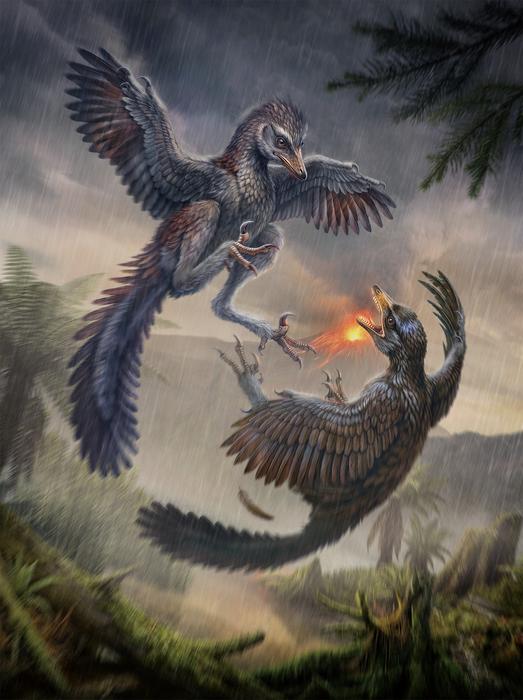 Life reconstruction of the Late Jurassic bird Yuezhuornis yangyuanensis