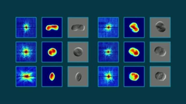 Scientists Take First X-ray Portraits of Living Cyanobacteria at the LCLS