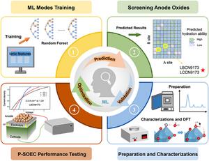 Machine Learning Tailored Anodes for Efficient Hydrogen Energy Generation in Proton-Conducting Solid Oxide Electrolysis Cells