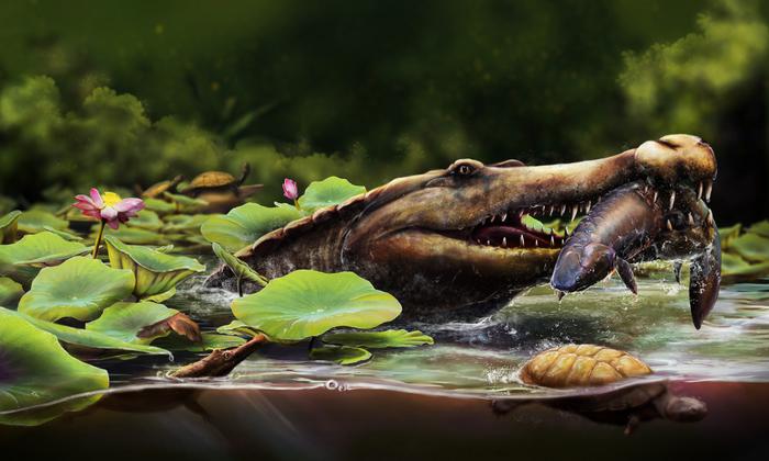 Life reconstruction of Wadisuchus kassabi
