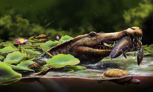 Life reconstruction of Wadisuchus kassabi