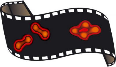STM Image