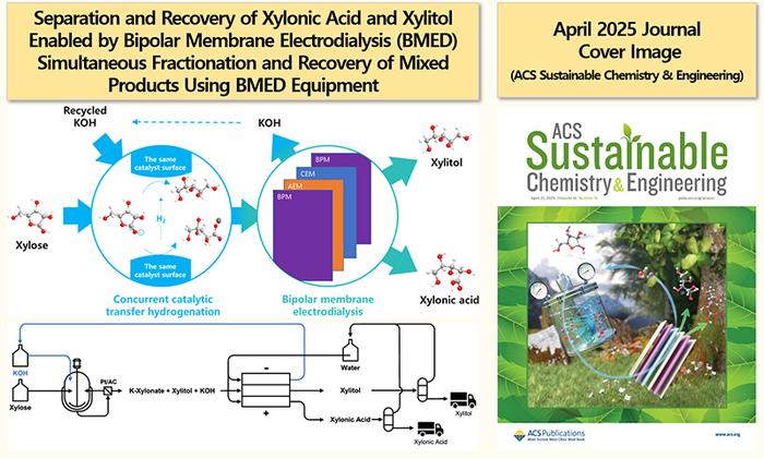 [2] Schematic Diagram of Bipolar Membrane Electrodialysis (BMED) for the Separation of Xylonic Acid and Xylitol