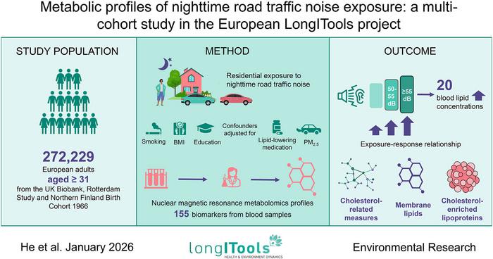 Graphical Abstract