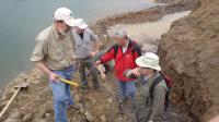 Fieldwork of the Researchers