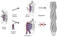 Amyloid Diagram