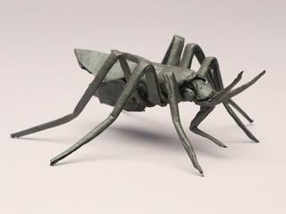 The Genome of the Mosquito that Transmits Zika Virus
