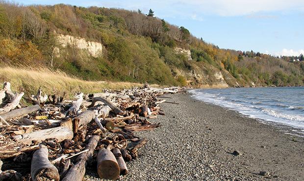 Natural Beach