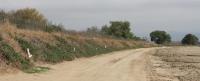Bare Ground Traps